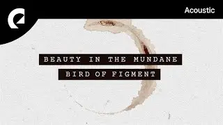 Bird Of Figment feat. Cody Francis - Beauty In The Mundane