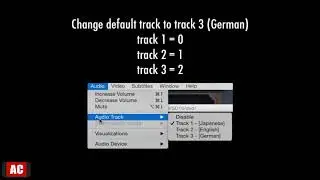 Change Default Audio Track in DVD on Mac