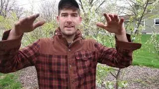 5 Ways to Protect Plants From Frost and Freezing Weather