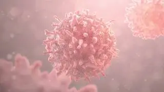 MEDICAL ANIMATION | COVID-19