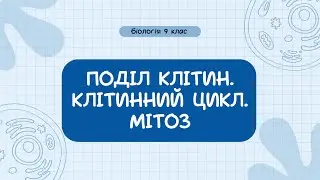 Біологія 9 клас  Поділ клітин  Клітинний цикл  Мітоз