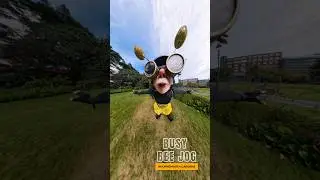 Busy Bee goes for a Jog! #busybee #insta360nosemode #crazydudepaul #bournemouth  #insta360 #