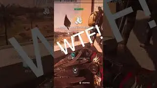 DMZ - What Did I Hit  