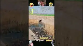 16 сентября 2026 г.