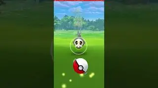 [Pokemon GO] December Community Day 2022 Saturday - (5/6) 