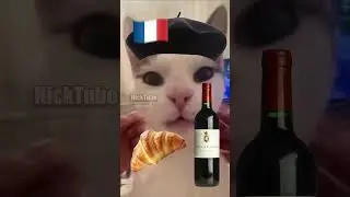 French Cat vs. Arabic Cat 🇫🇷🇸🇦