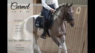 SOLD: ** Carmel ** Pferdehandlung Dederichs **