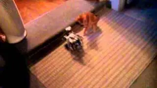 Lego explorer robot
