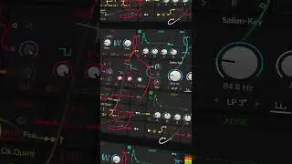 ⭕️ Free Patch: Phase modulation #psytrance sequence 🔥 #bitwig #polygrid