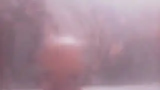 LPS новости😊😊😊😊💕😺☺☺☺