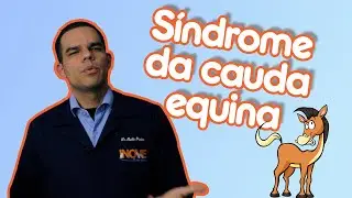 Síndrome da cauda equina