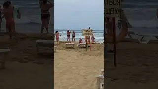 This is why you won't find shells in the sea 😄