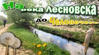 Риболов на спининг на река Лесновска до кв.Челопечене.София.