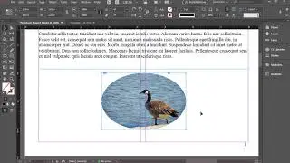 Wrapping Text Around an Image in InDesign