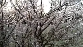 Гиагинская. Утро 21.01.2014!