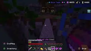Minecraft Nug Wars