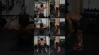 Rear Delt Exercise Variations To Try! 💯