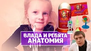 Game set of human anatomy for children. Top tube structure of the organism. Vlad and guys