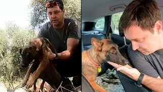 A happy story of a homeless dog named Dana.