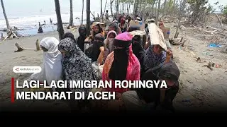 Lagi-lagi imigran Rohingya mendarat di Aceh