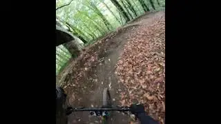 Трасса 