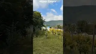 #абрау_дюрсо #кудапоехать #блогер #horse #automobile #тракторист #виноград #красота