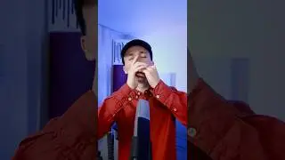 Bella Ciao on harmonica #harmonica #bellaciao