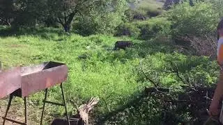 Райондағы жігіттер 😎