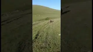 Медведь атакует всадника !!! 
