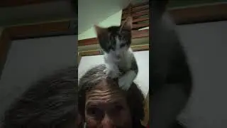 Got a little Banjo in my Hair