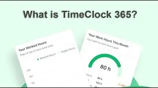 TimeClock 365 - what is it ?