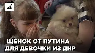 Путин подарил щенка девочке из ДНР