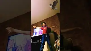 мои руки не крылья мои люди не спится я лечу выше чтобы токо разбится #shorts #рек
