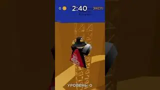 истории из тик тока