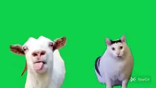 перевёрнутые мемы часть 1 😅