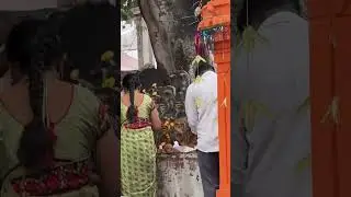 #nagamma #temple #nagini#chagantikoteswararao #youtubeshorts