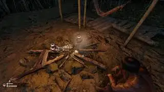 Green Hell Spirits of Amazonia