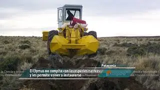 Más de 50 años de trabajo contra la desertificación y la sequía
