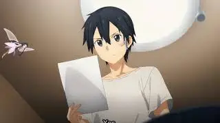 SAO IP Address
