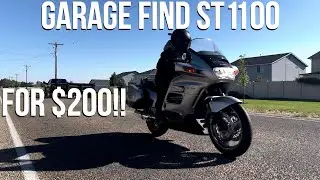 Abandoned $200 Motorcycle - Can We Revive It?