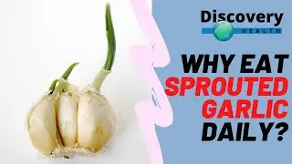 See What Sprouted Garlic Can Do To Your Body in 1 Week | Discovery Health