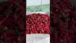 СОВЕТУЮ ПРИГОТОВИТЬ. ПРОСТОЙ, НО ОЧЕНЬ ВКУСНЫЙ САЛАТ#GenLid