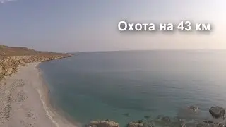 Охота на 43 км