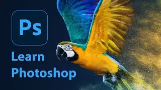 Adobe Photoshop Tutorial for Beginners