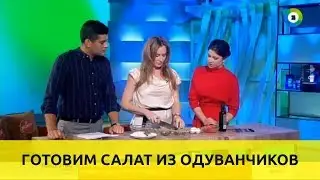 Анна Бортейчук - что можно приготовить из одуванчиков и чем полезно это растение