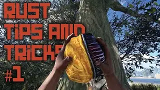 Beginners Tips & Tricks Guide 2021 - Rust Tutorial