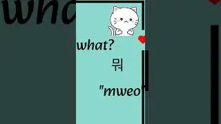 Question words in Korean #shorts #shortsfeed