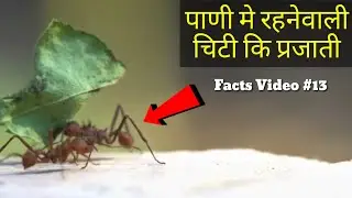 TOP 10 FACTS WHICH YOU SHOULD KNOW PART 13