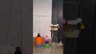 Bob Esponja