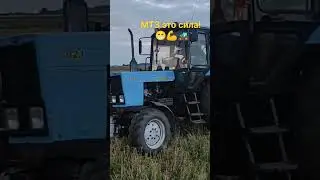 Пахота зяби на тракторах МТЗ-80.1 и  МТЗ-82.1 с плугами ПЛН-3-35.